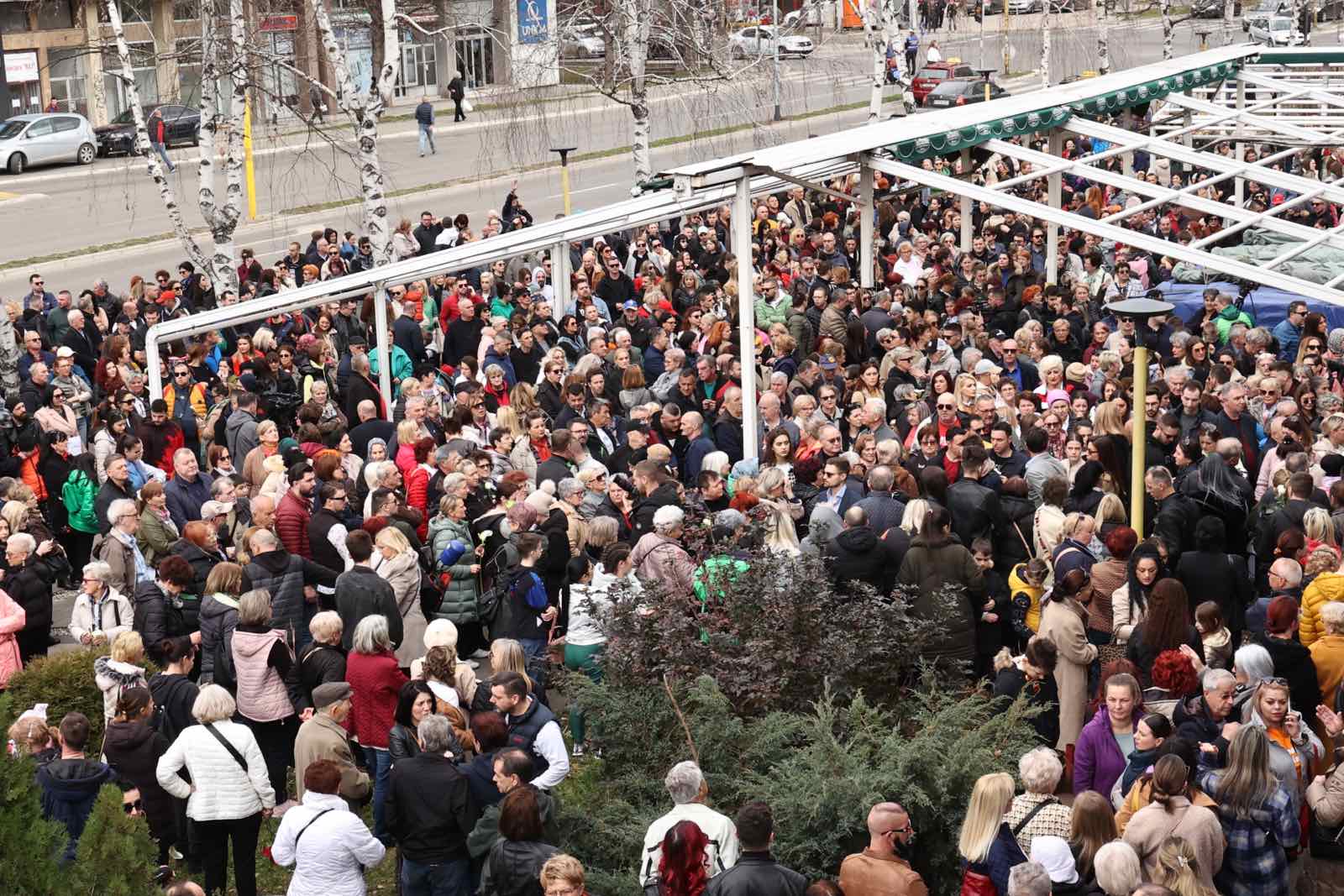 viber_image_2024-02-11_12-19-43-238