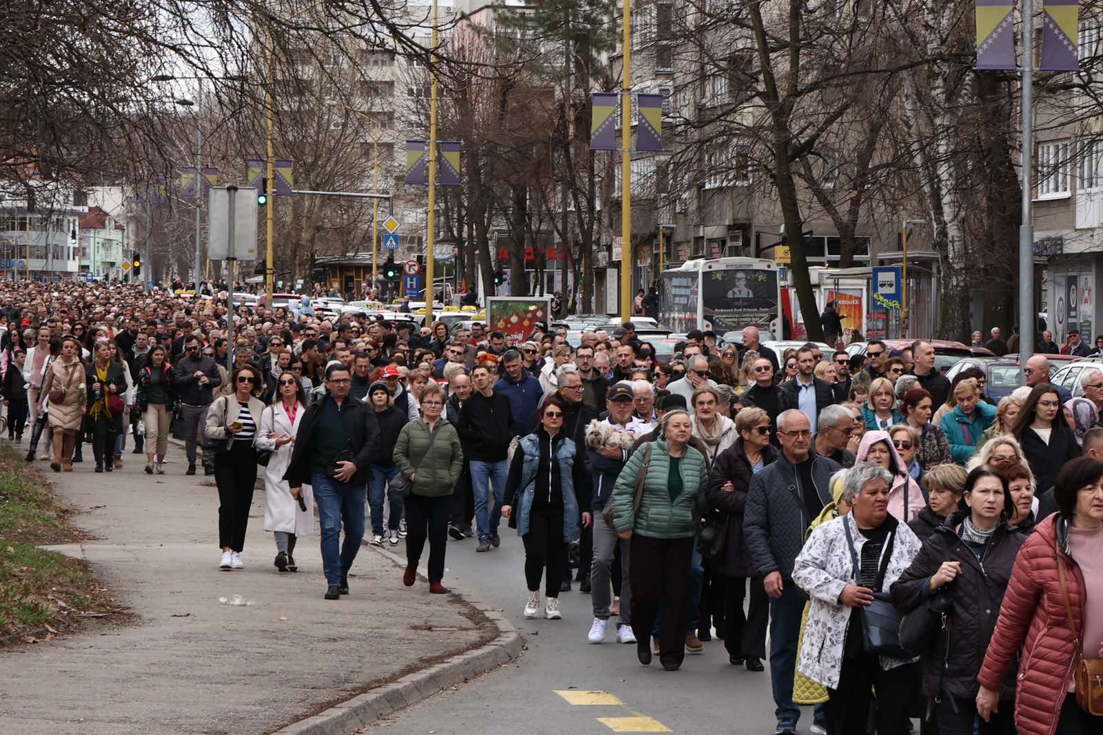 viber_image_2024-02-11_12-42-53-582