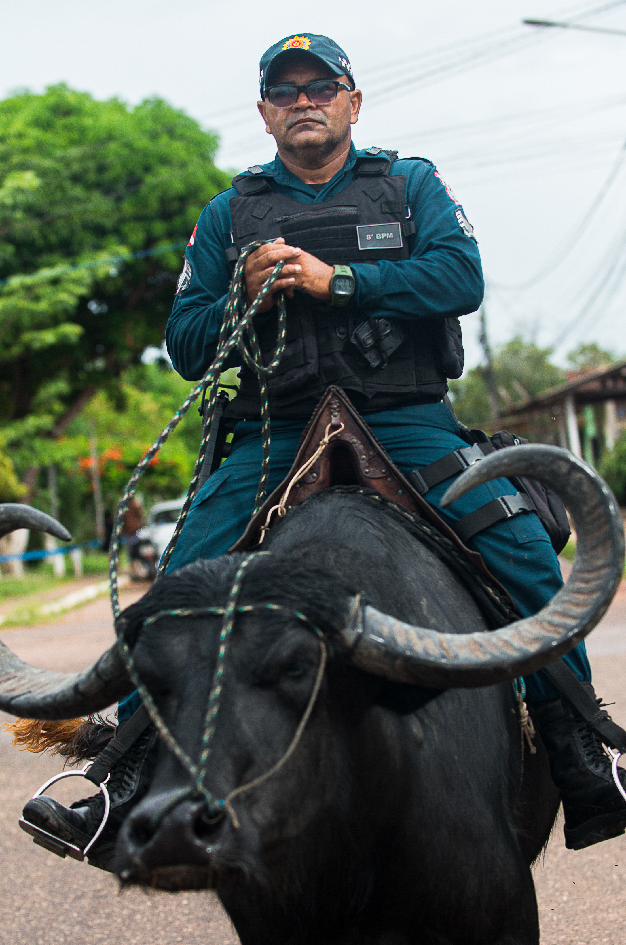 Na brazilskom ostrvu Marajo policija patrolira sa bivolima