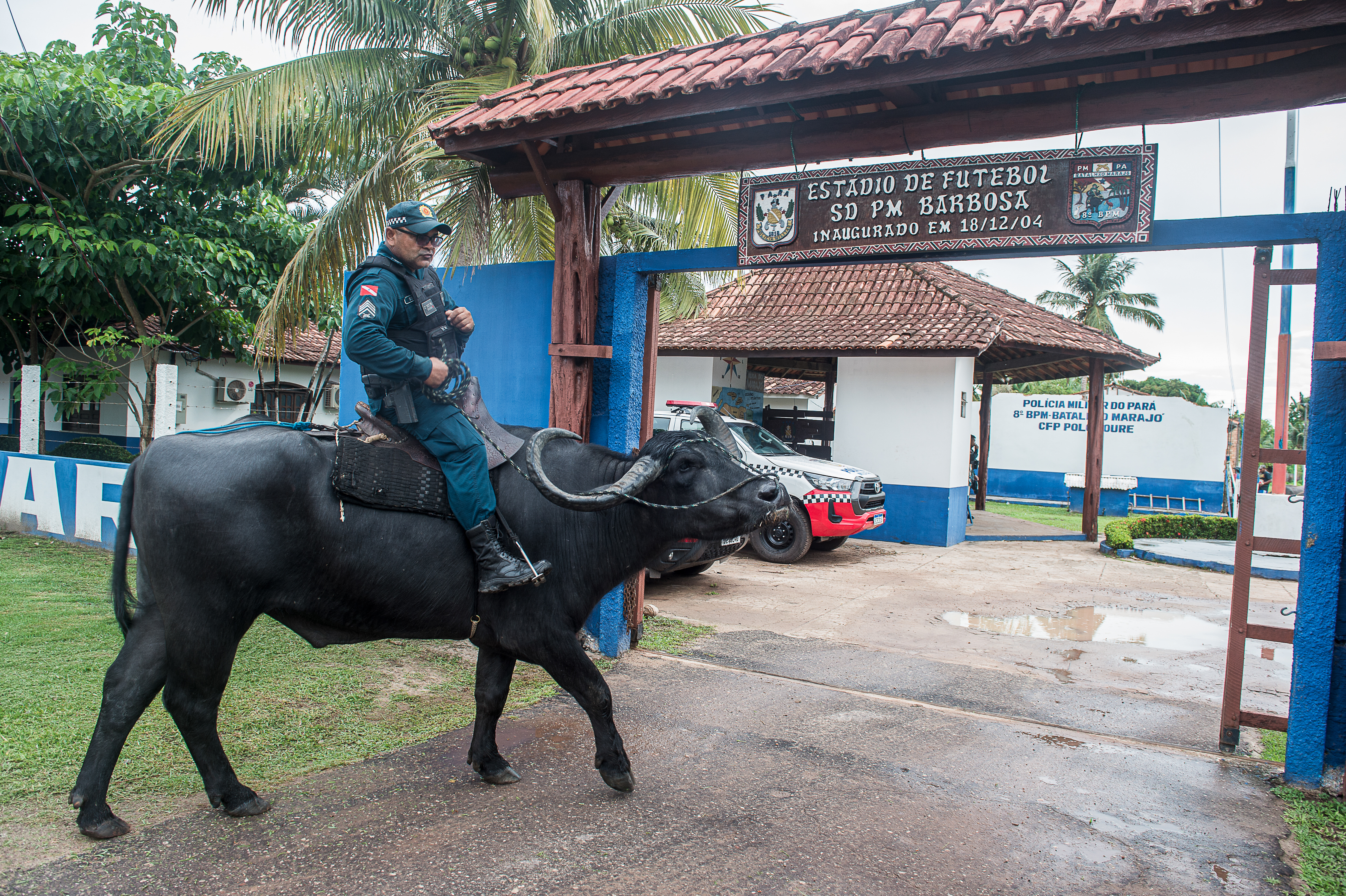 Na brazilskom ostrvu Marajo policija patrolira sa bivolima