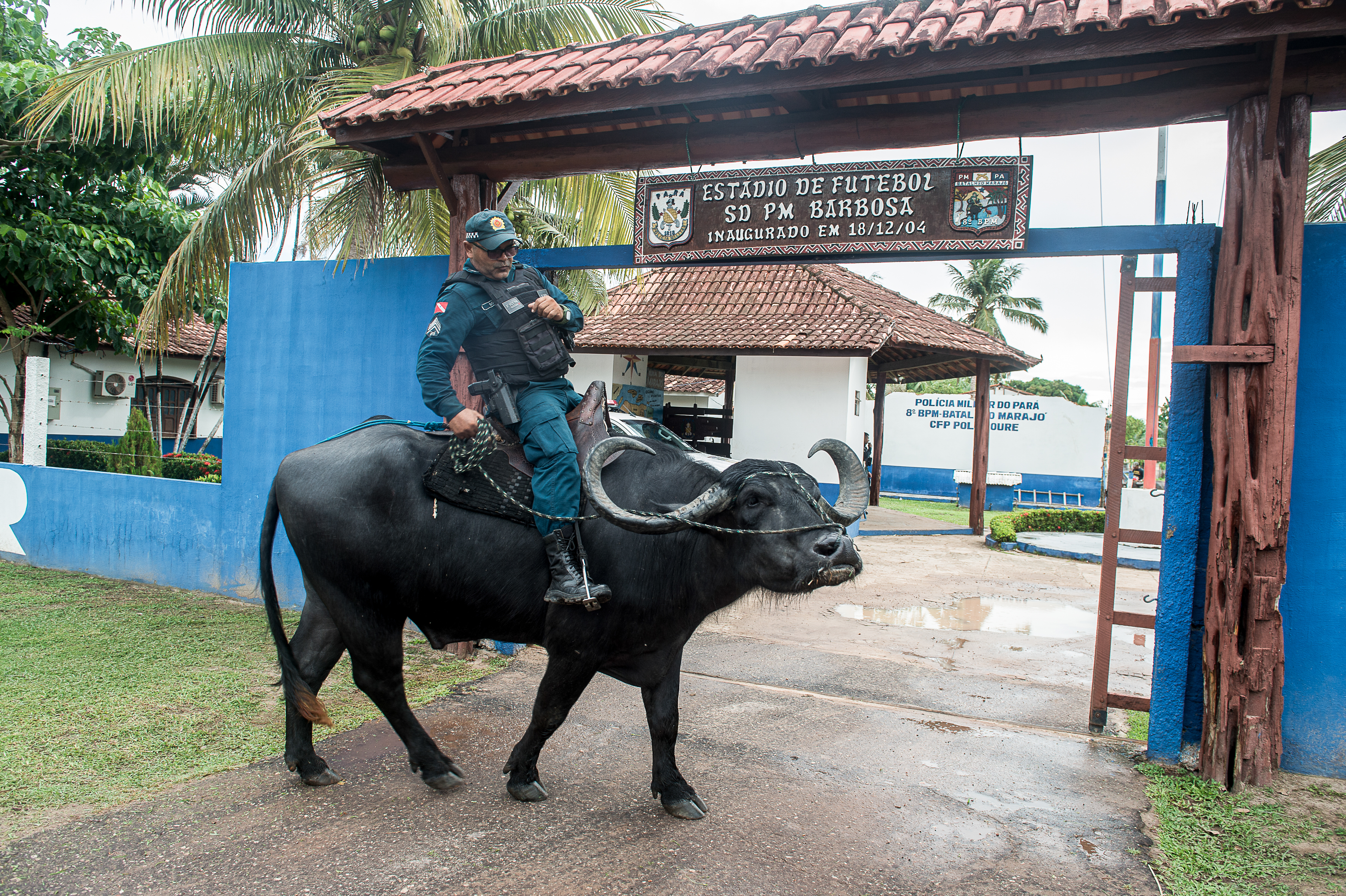 Na brazilskom ostrvu Marajo policija patrolira sa bivolima