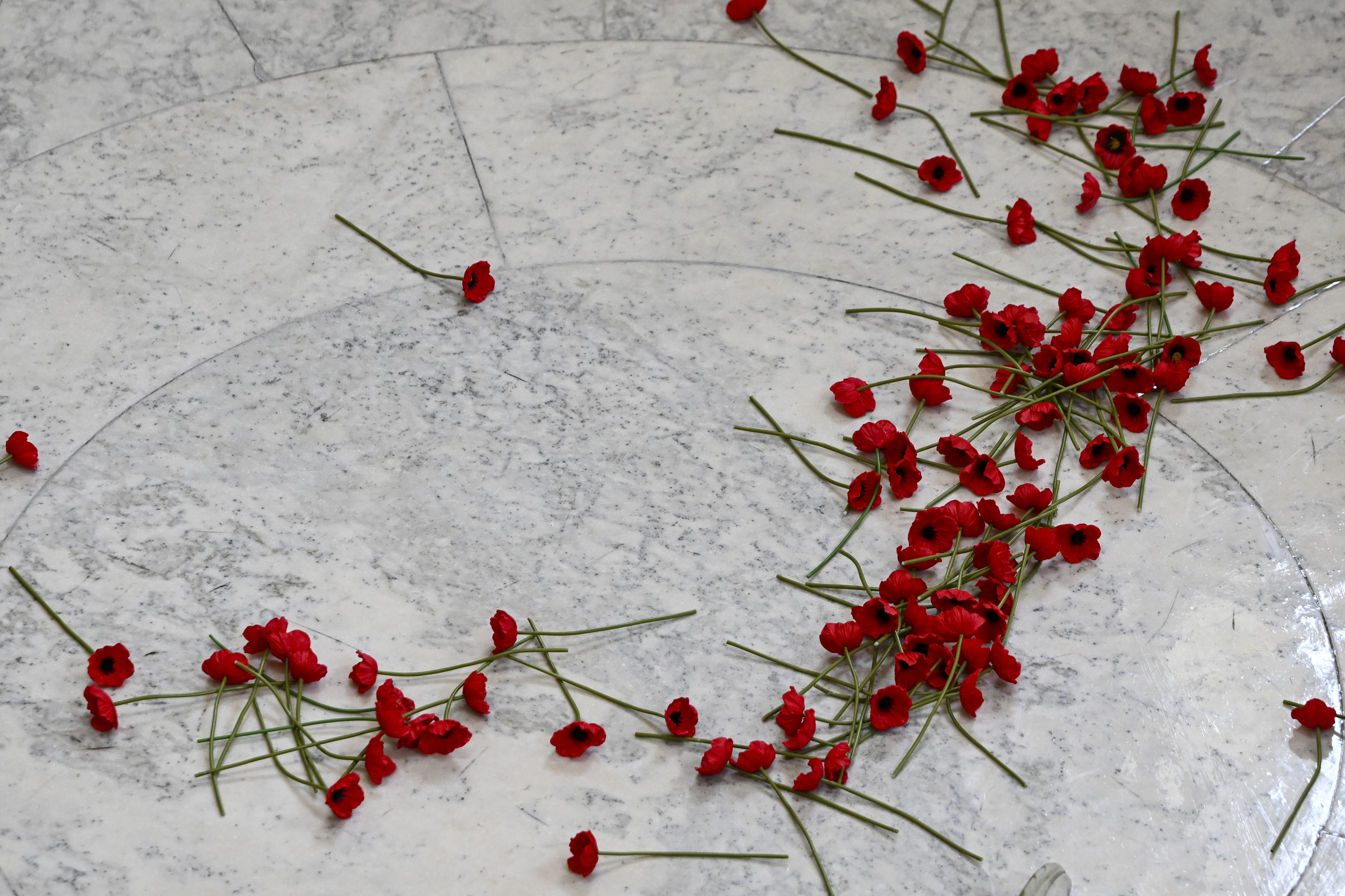 Demonstranti upali u američki Kongres, tražen hitan prekid vatre u Gazi