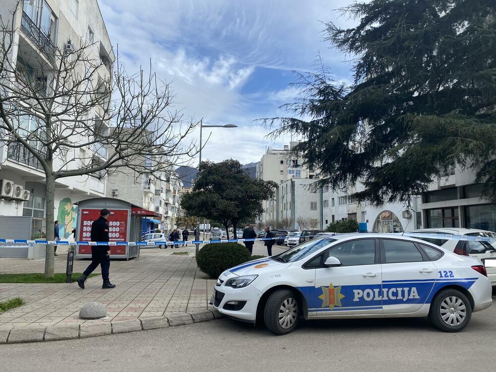 5551003_image00001-8_ff