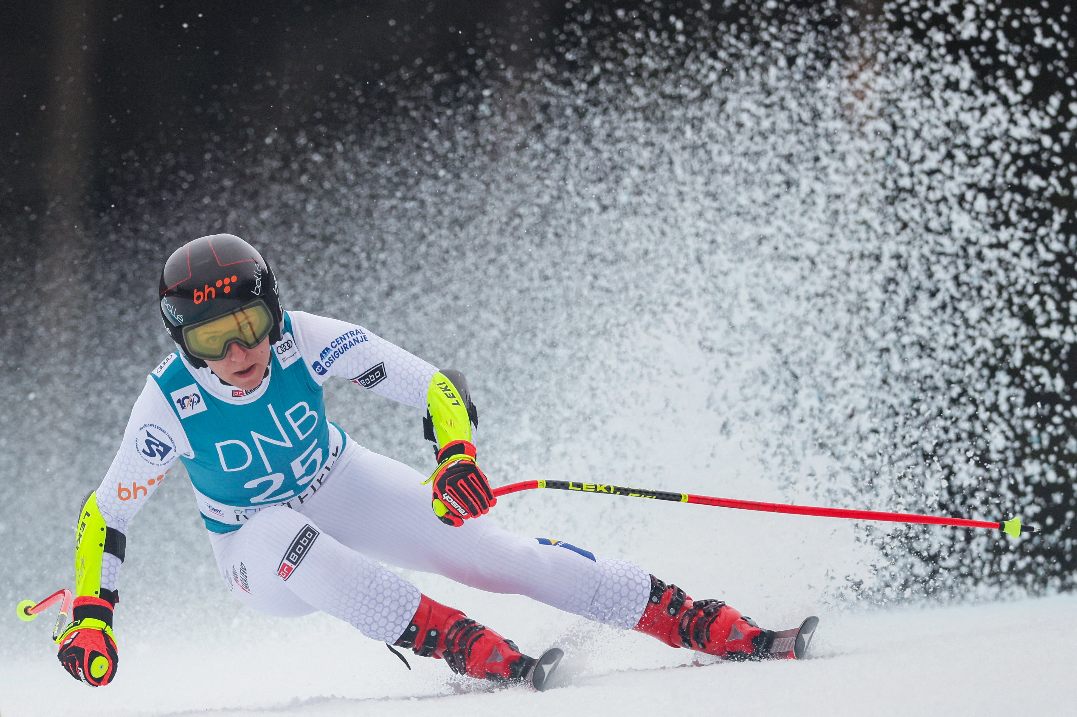 SKI-ALPINE-WORLD-NOR-WOMEN-SUPER-G