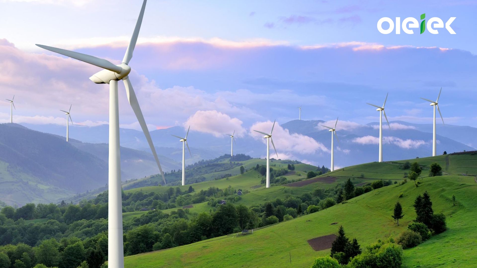 a1fab217-79f4-4513-aeba-136a308e3d28