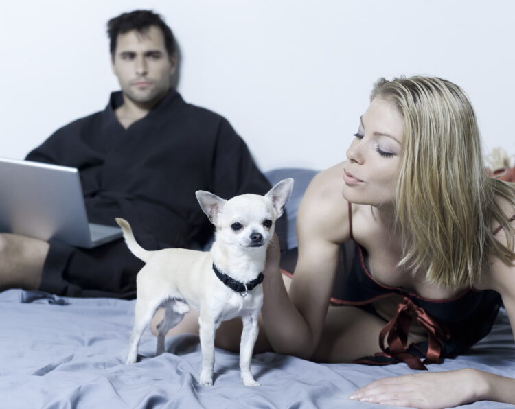 Beautiful,Young,Caucasian,Couple,In,A,Bed,On,Isolated,Background