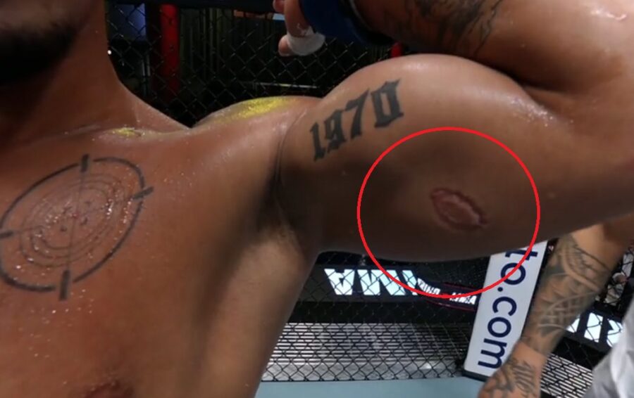 1711267383-ujed-900x566