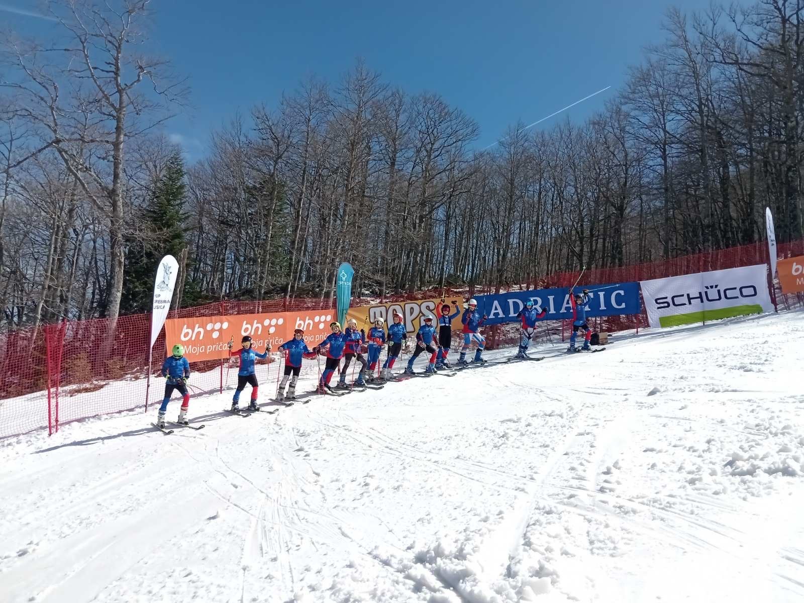 Srebrna lisica 2024 -2