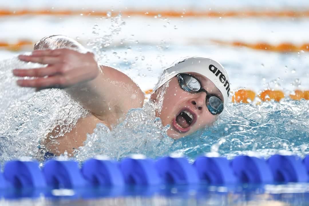 e1d69832-cdcd-419c-b385-b91c12771be4 (1)