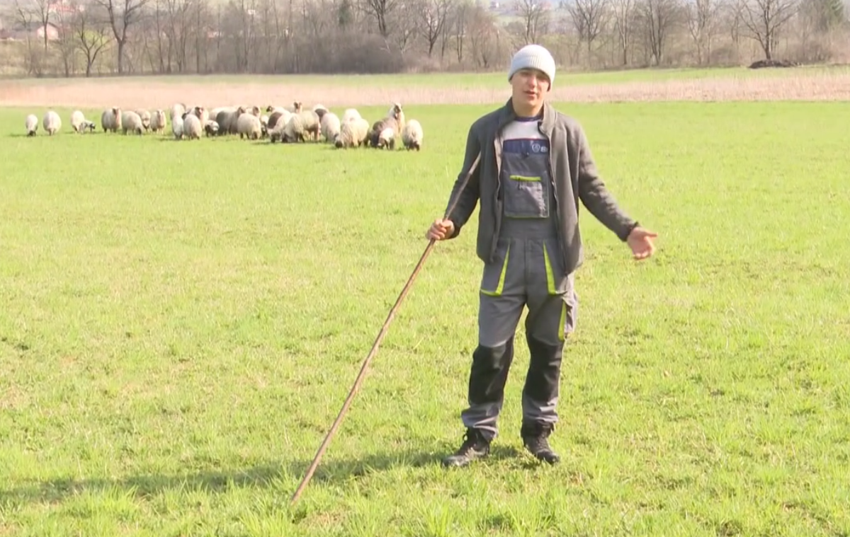 mario-pastir-kotor varoš