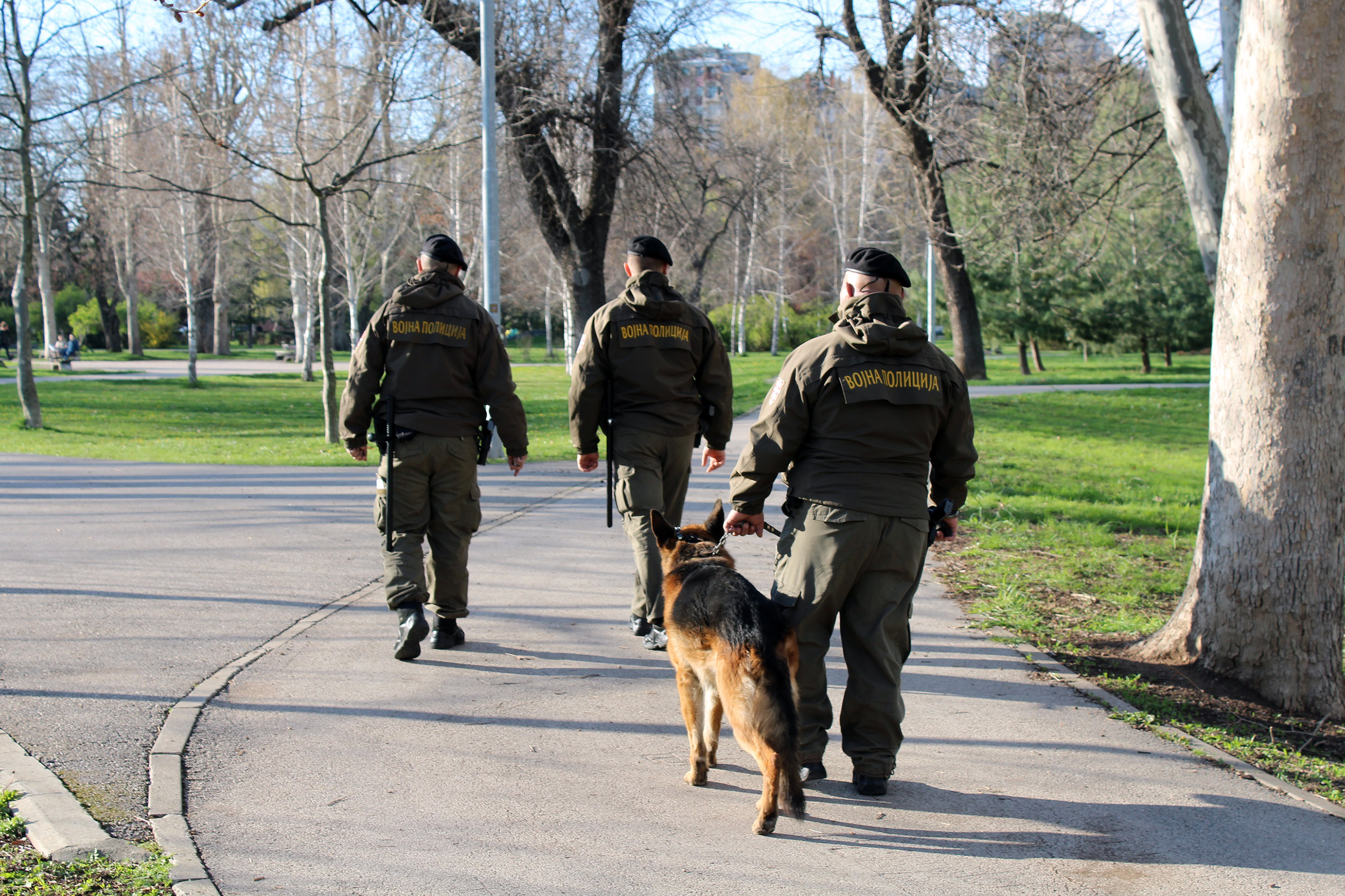 vojna policija