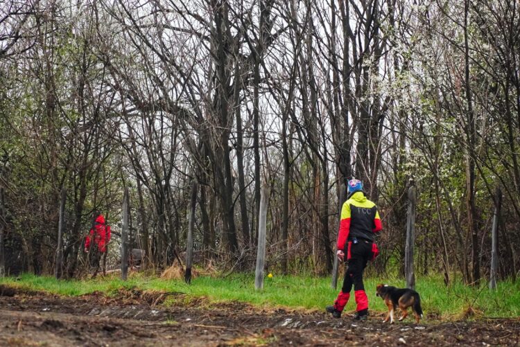 POTRAGA ZA NESTALOM DEVOJÈICOM
