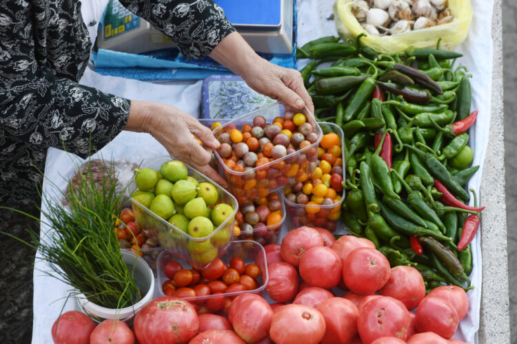 ibenik: Ponuda vo?a i povr?a na gradskoj trnici