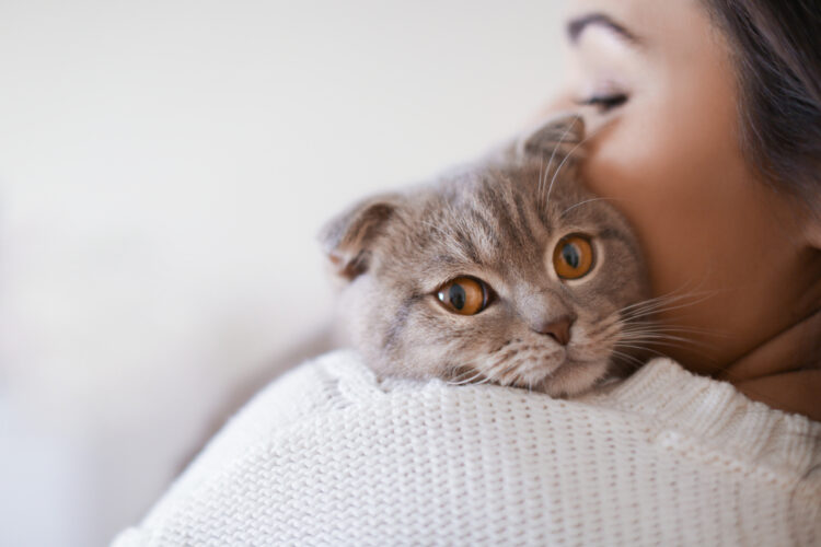 Beautiful,Young,Woman,With,Cute,Cat,Resting,At,Home