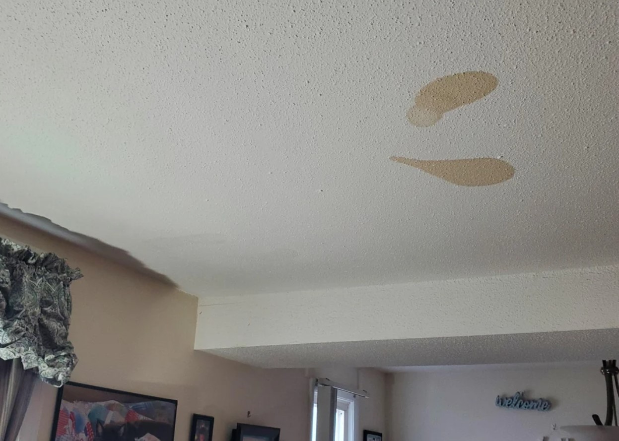 1711965723-Foto-Zajem-zaslona-REDDIT-fleki