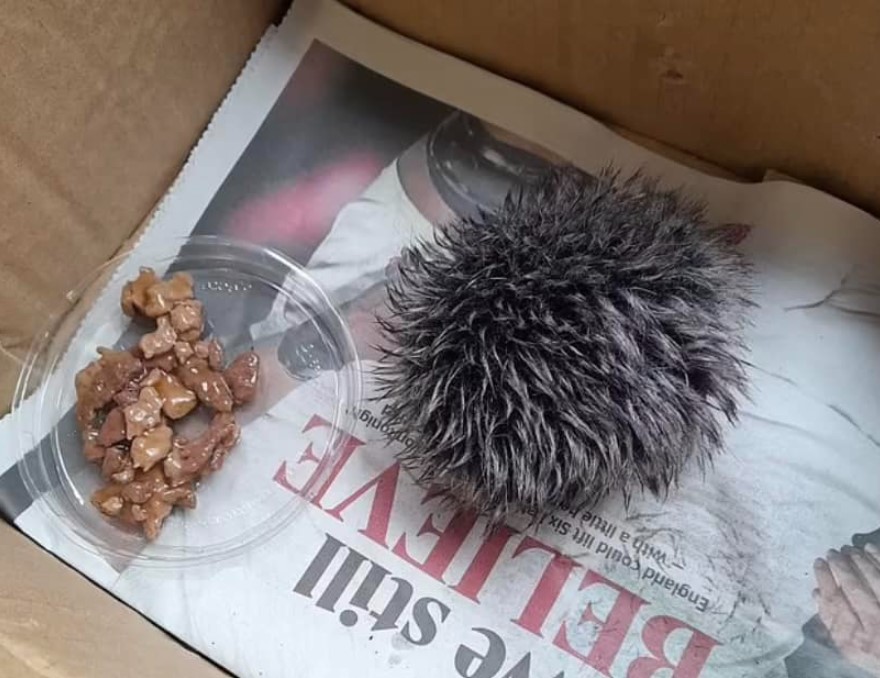 1711632208-Foto-Zajem-zaslona-FACEBOOK-jez