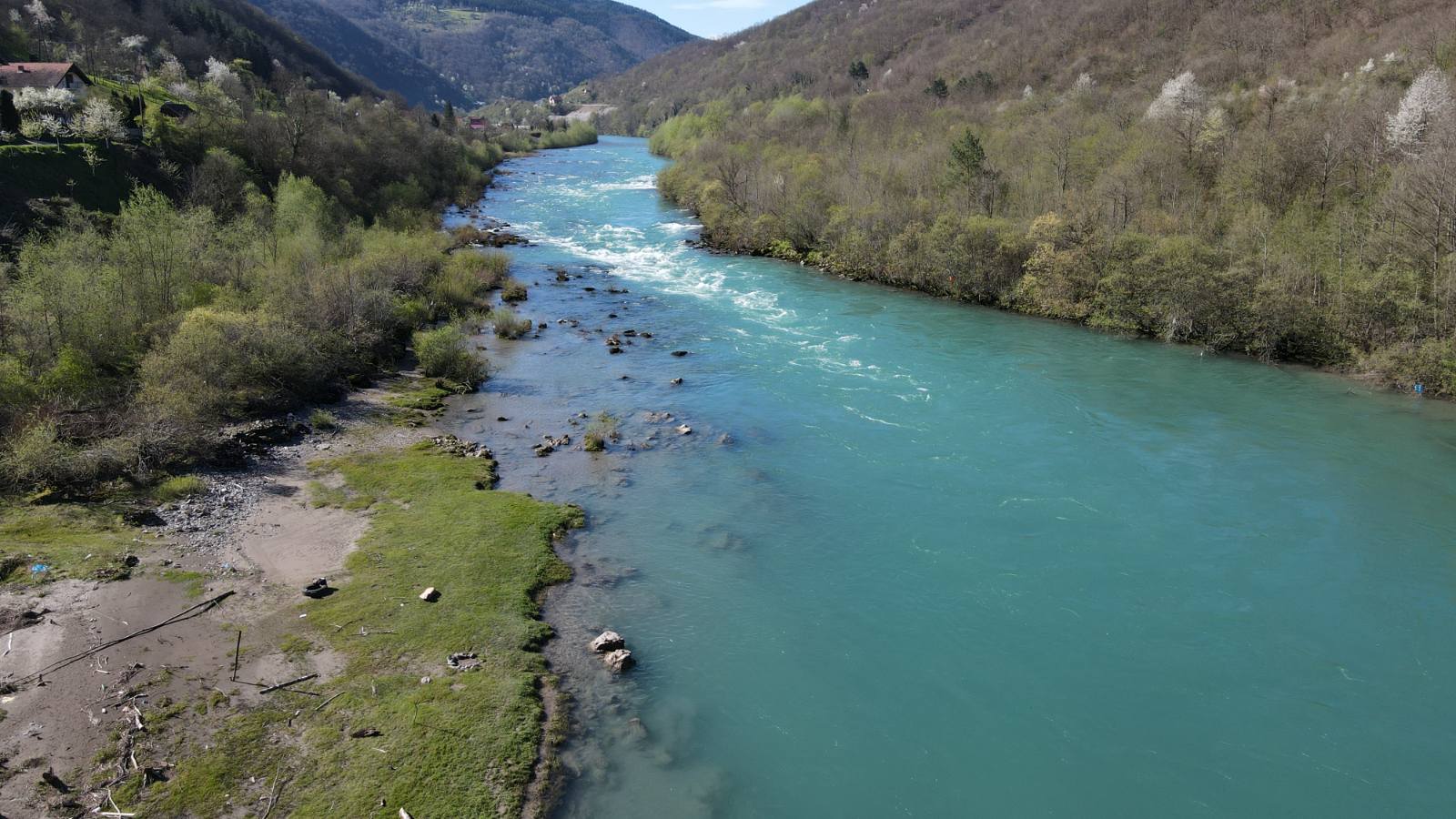 drago tanasković foča