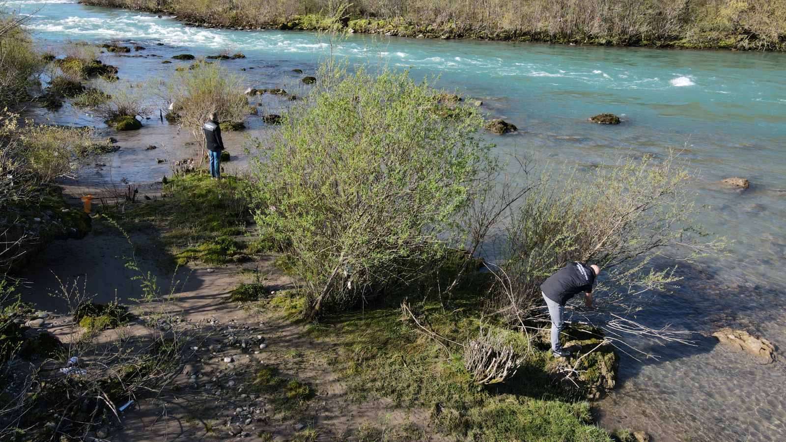 drago tanasković foča