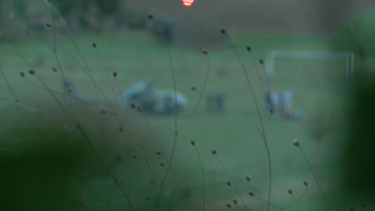 1713256529-deliblatska-pescara-750x422