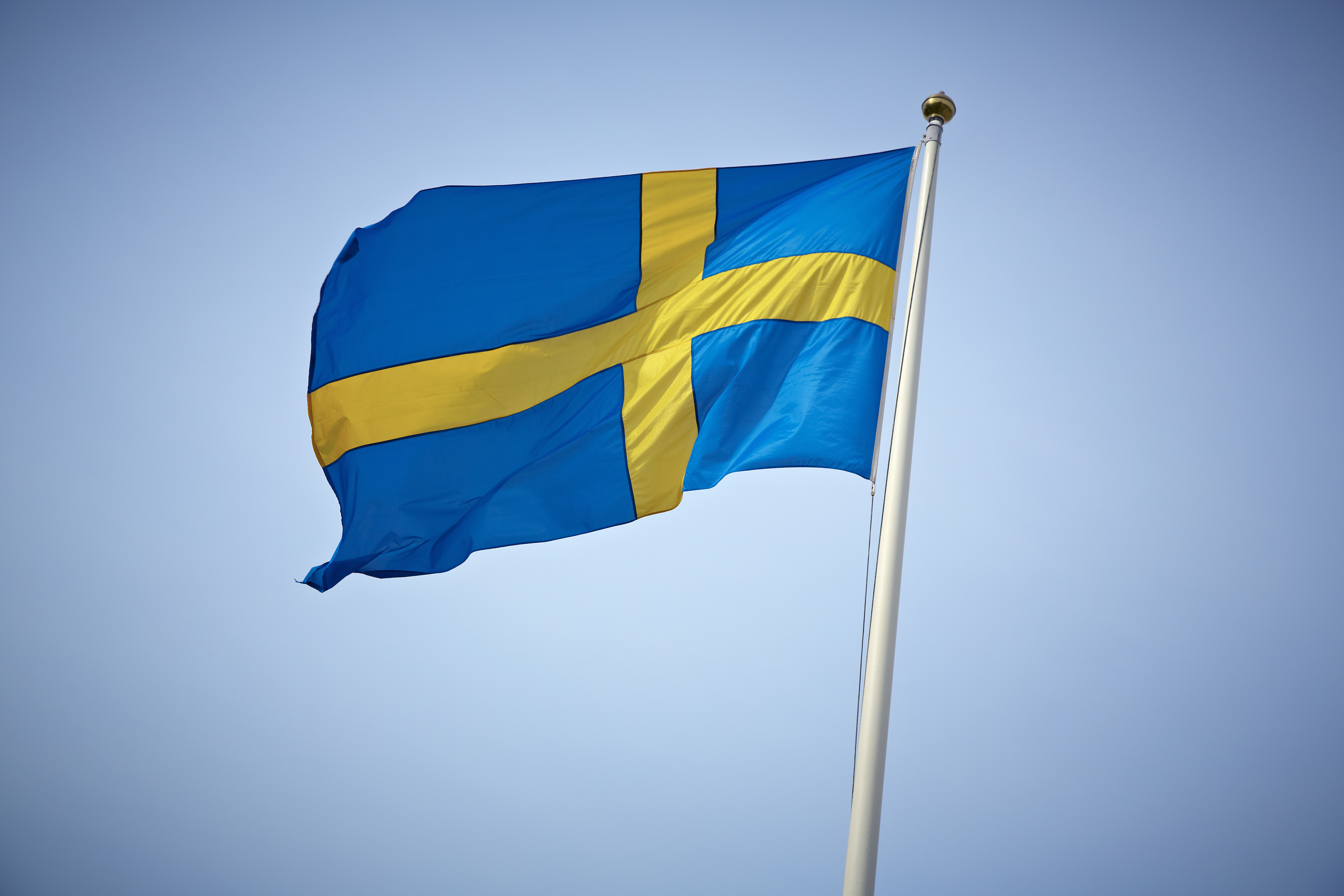Swedish flag
