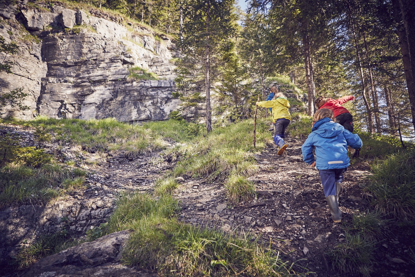 Group of children in forest, walking uphill, rear view