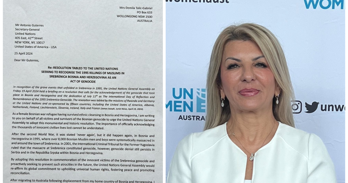 Rezolucija o Srebrenici - Demila Talic Gabriel