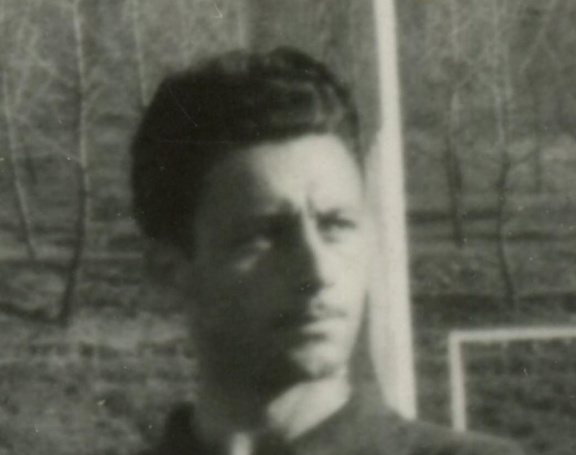 Radisav Raković