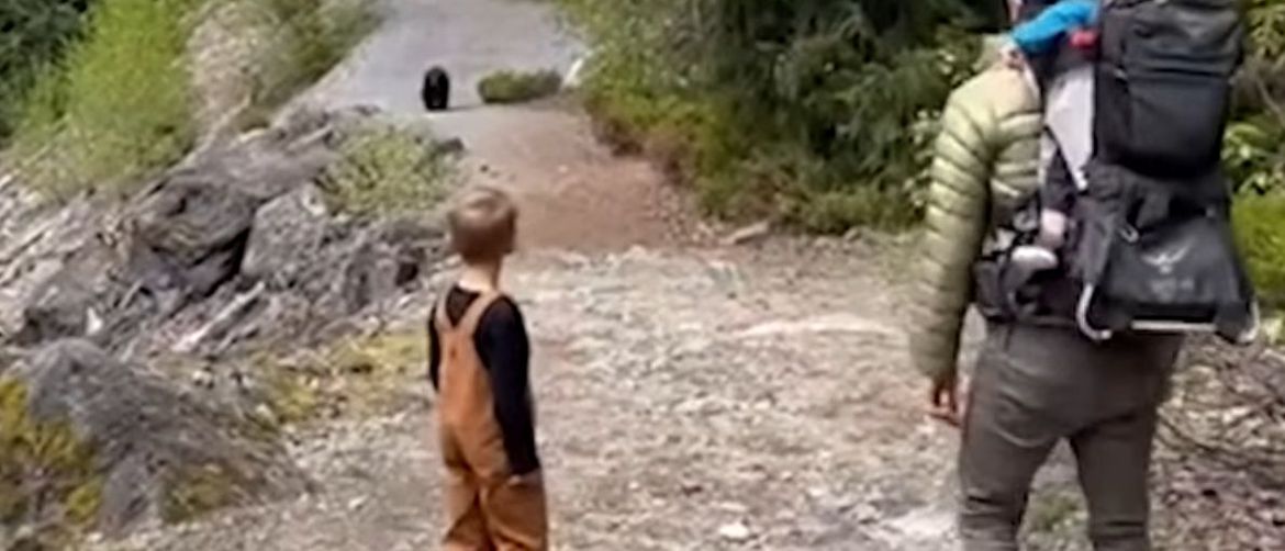 62810749-medvjed-u-pratnji