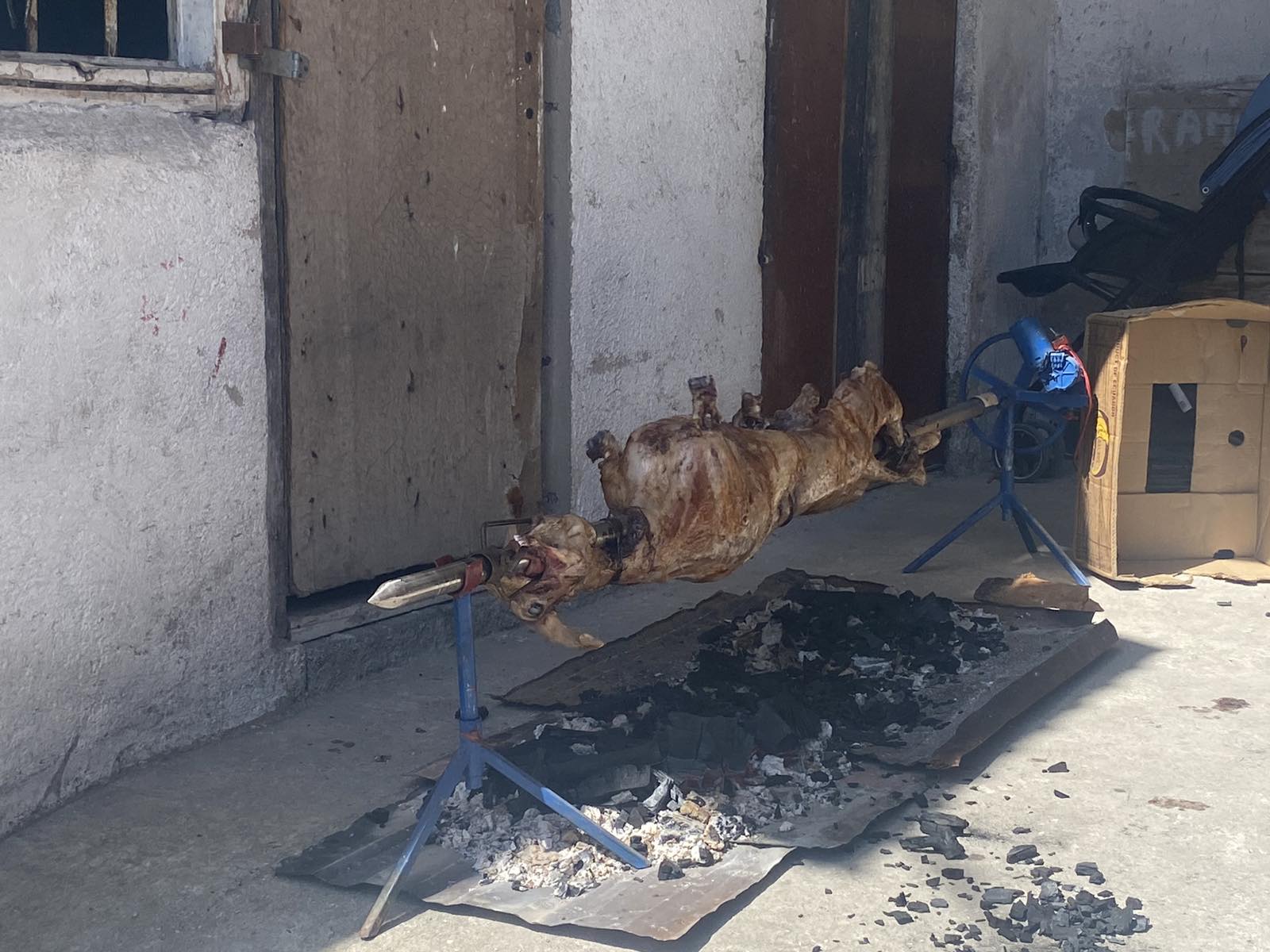 viber_image_2024-05-06_12-12-27-810