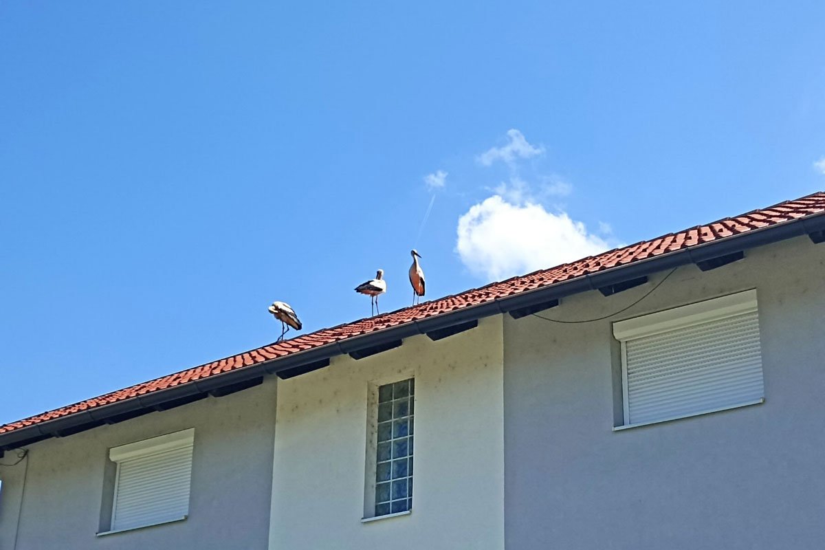 20240511111526_833477