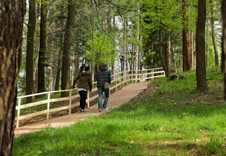 Sarajevo dobilo novo izletište: Otvoren Park šume prijateljstva Turske i BiH