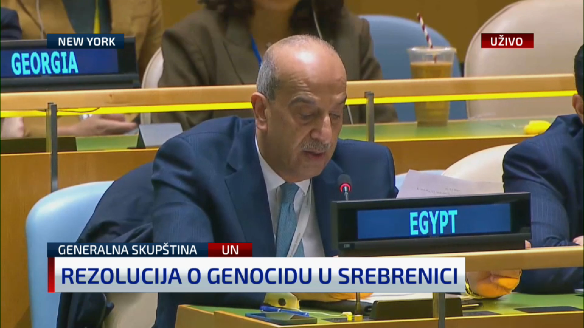 egipatski ambsador un