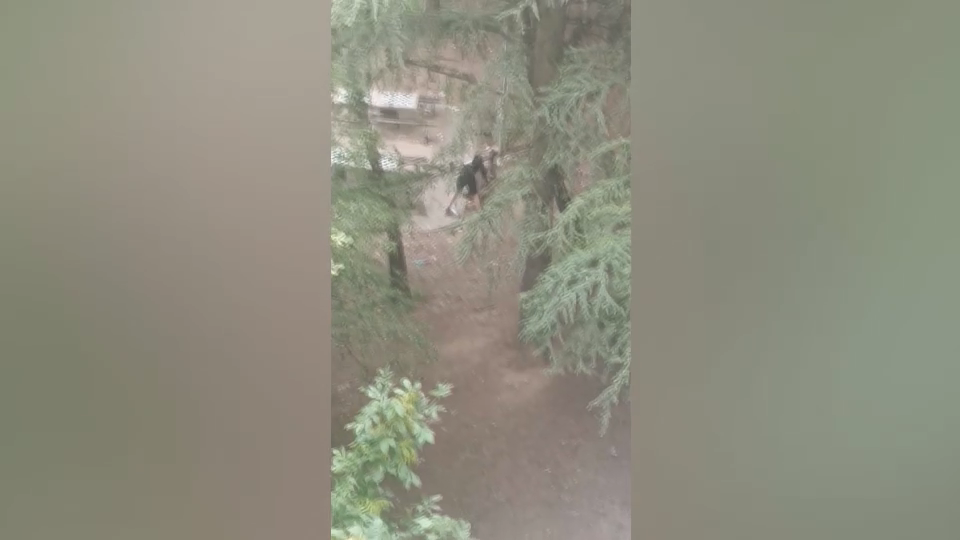 1716882210-huligani-mijatovic-snimak-n1