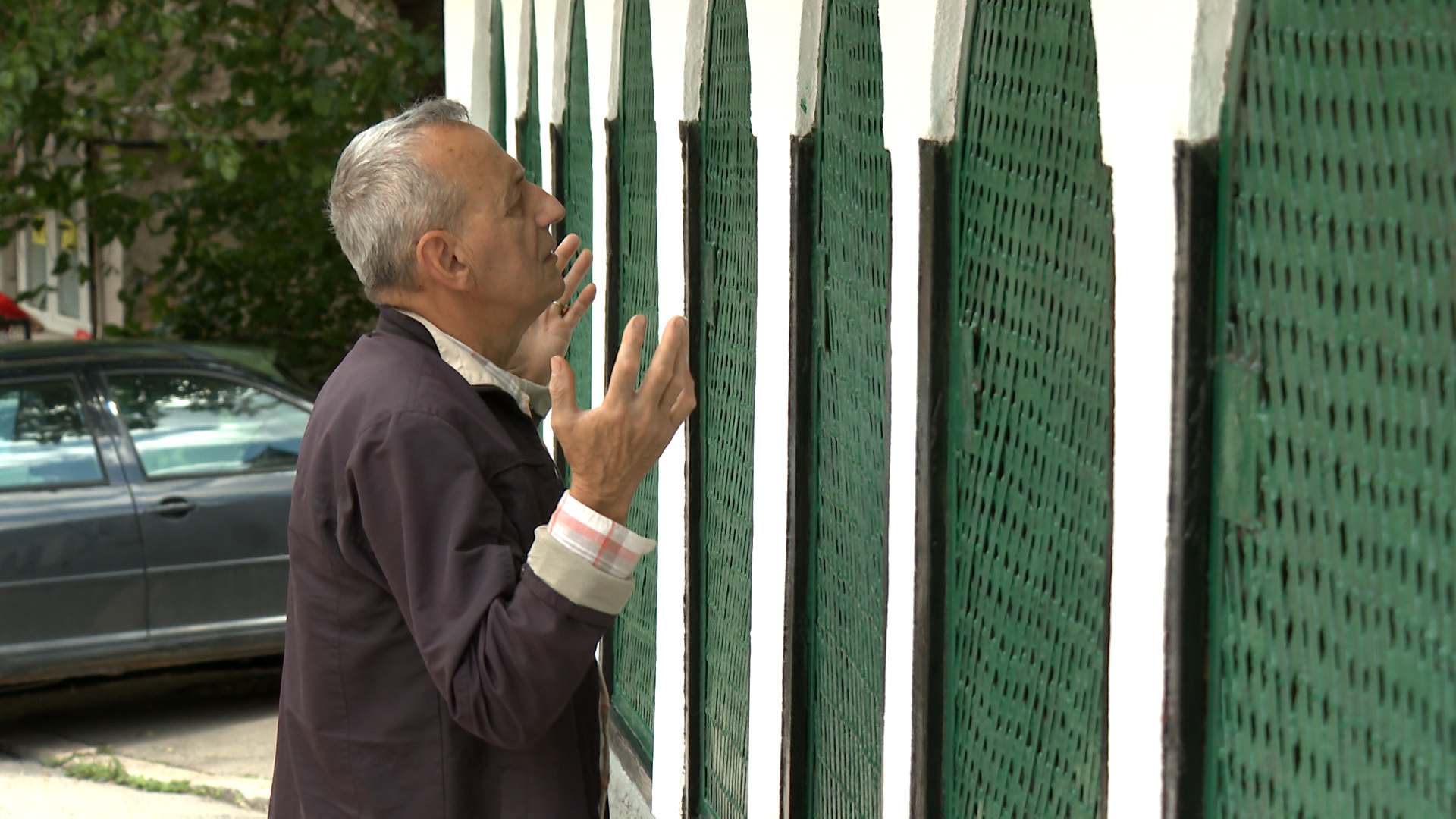 turbe sedam braće 1