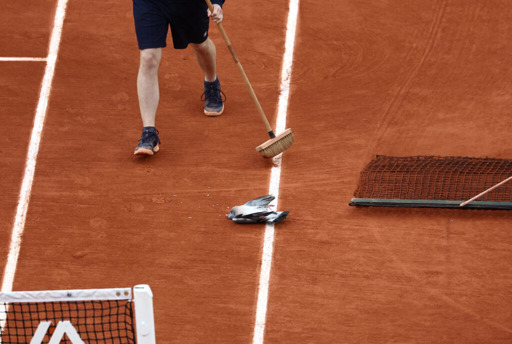 1717276976-2024-05-31T165944Z_1252669188_UP1EK5V1B7IBJ_RTRMADP_3_TENNIS-FRENCHOPEN-1024x689.jpg