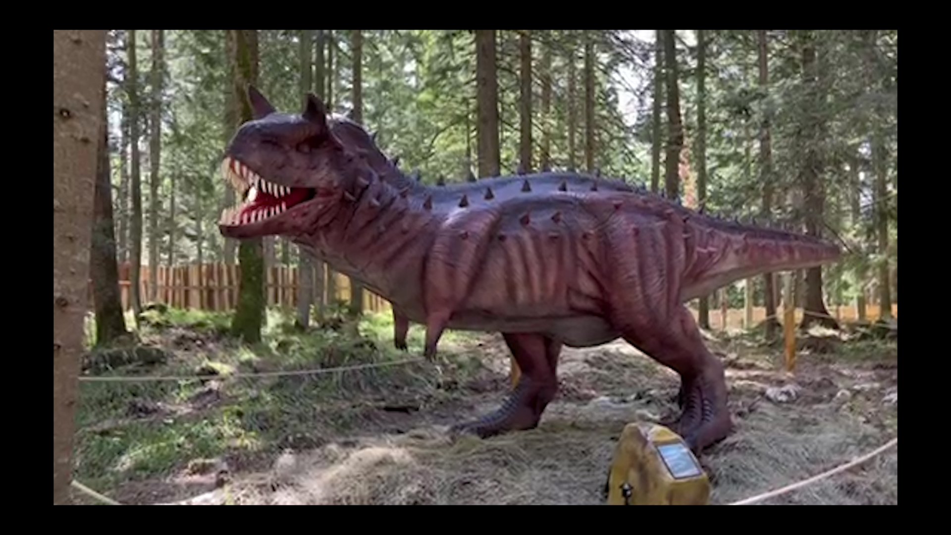 dinosaurus dinop park ravna planina