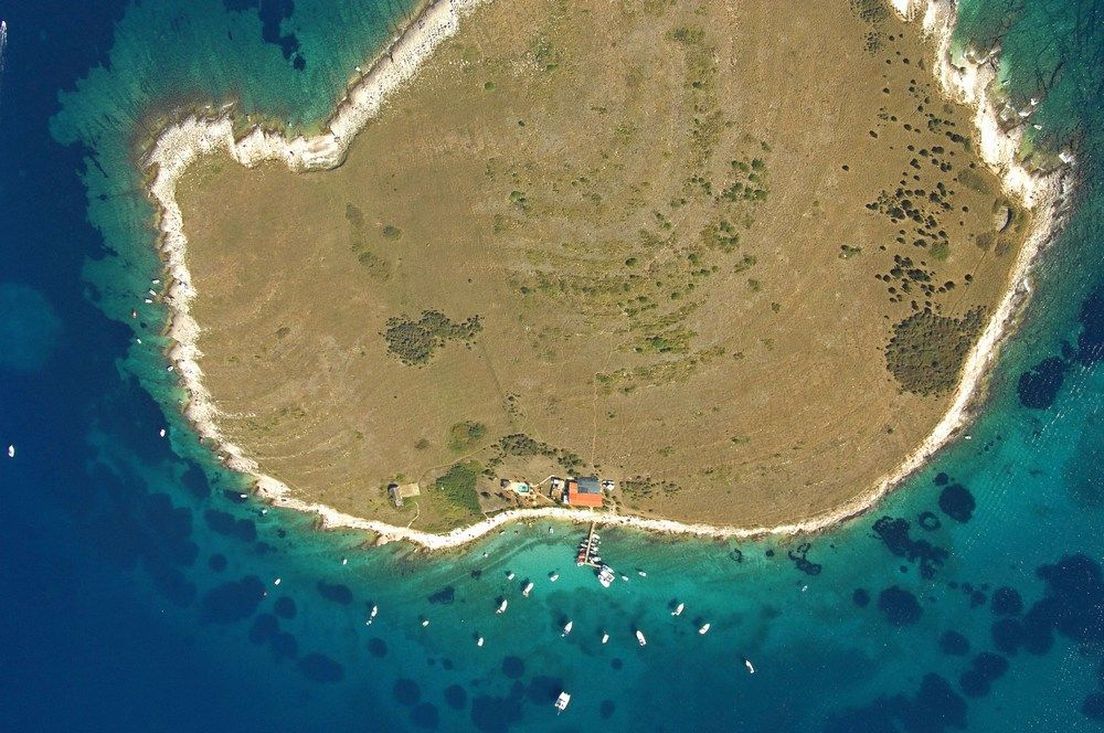 62835633-otocic-ceja