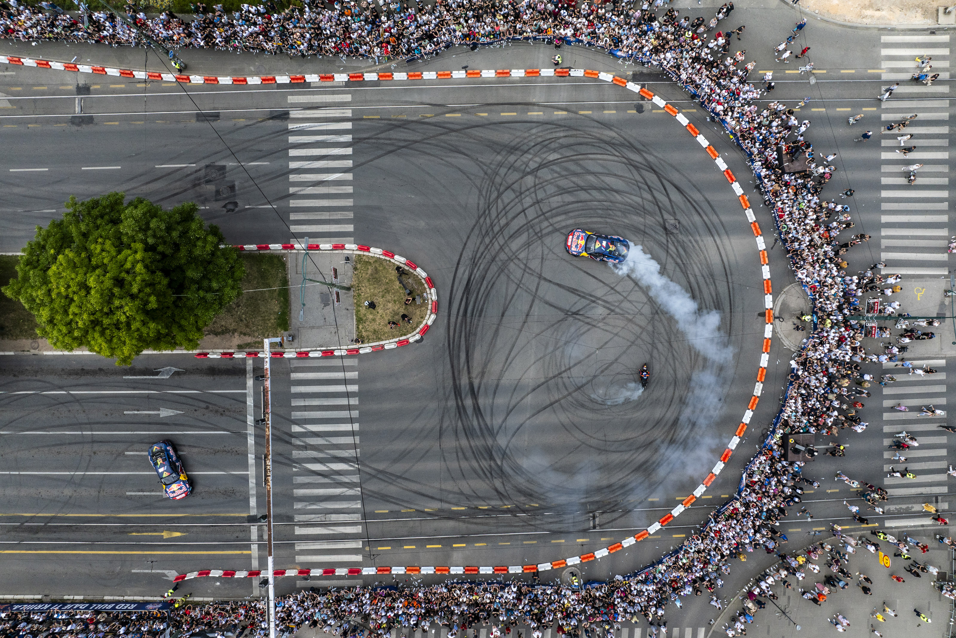 Foto: Predrag Vučković