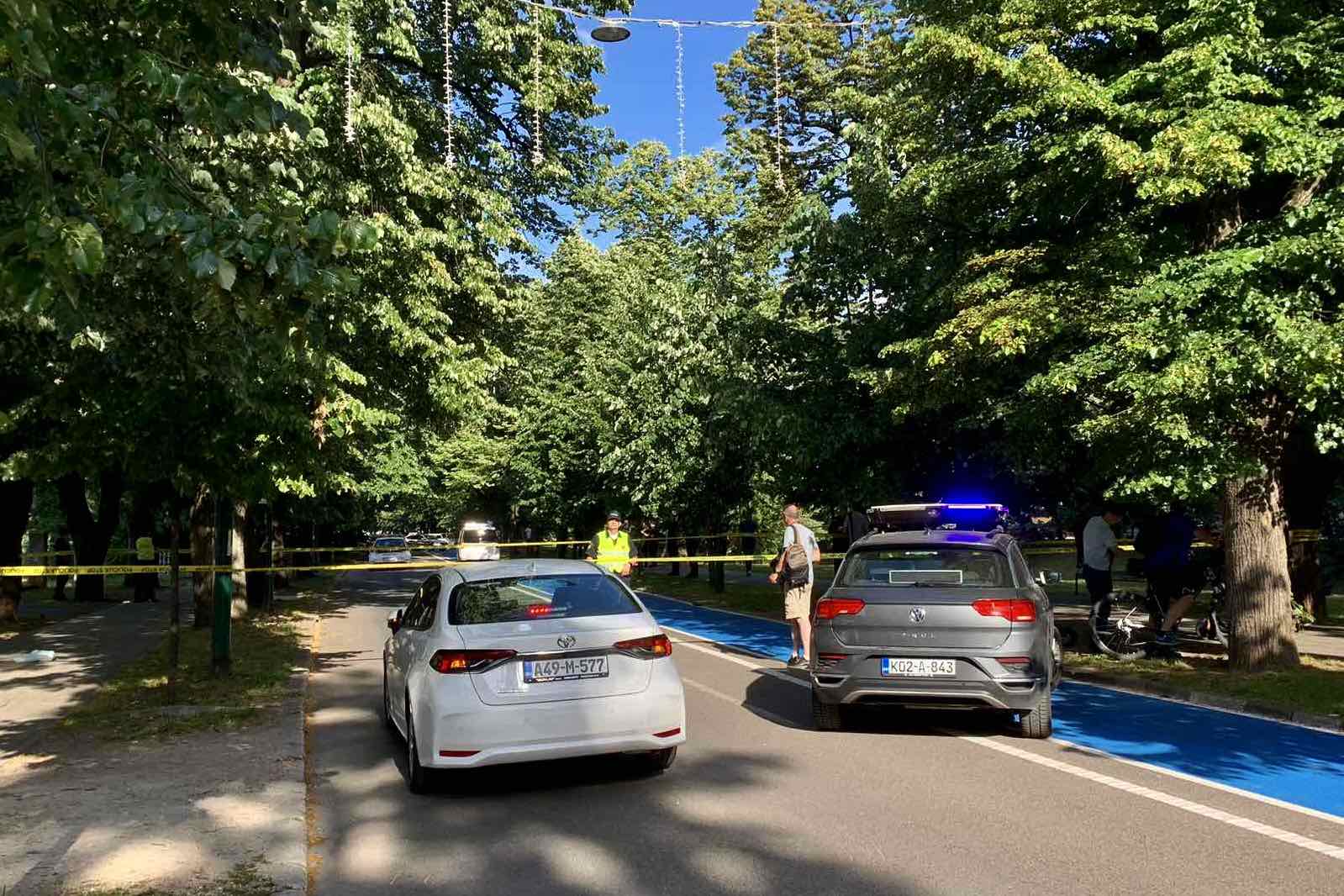 vilsonmovo ubistvo mup ks hitna pomoc