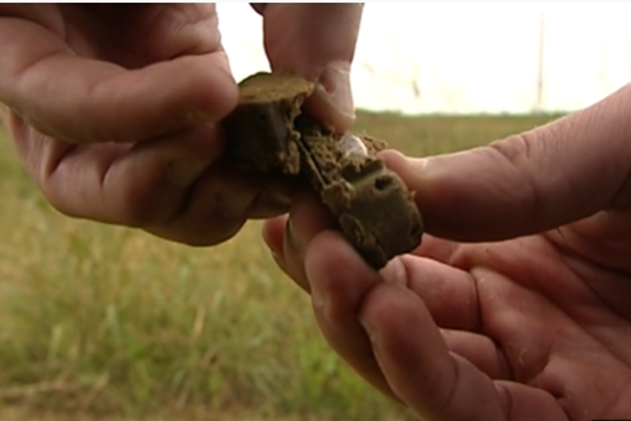 kolaicici protiv bjesnila lisica