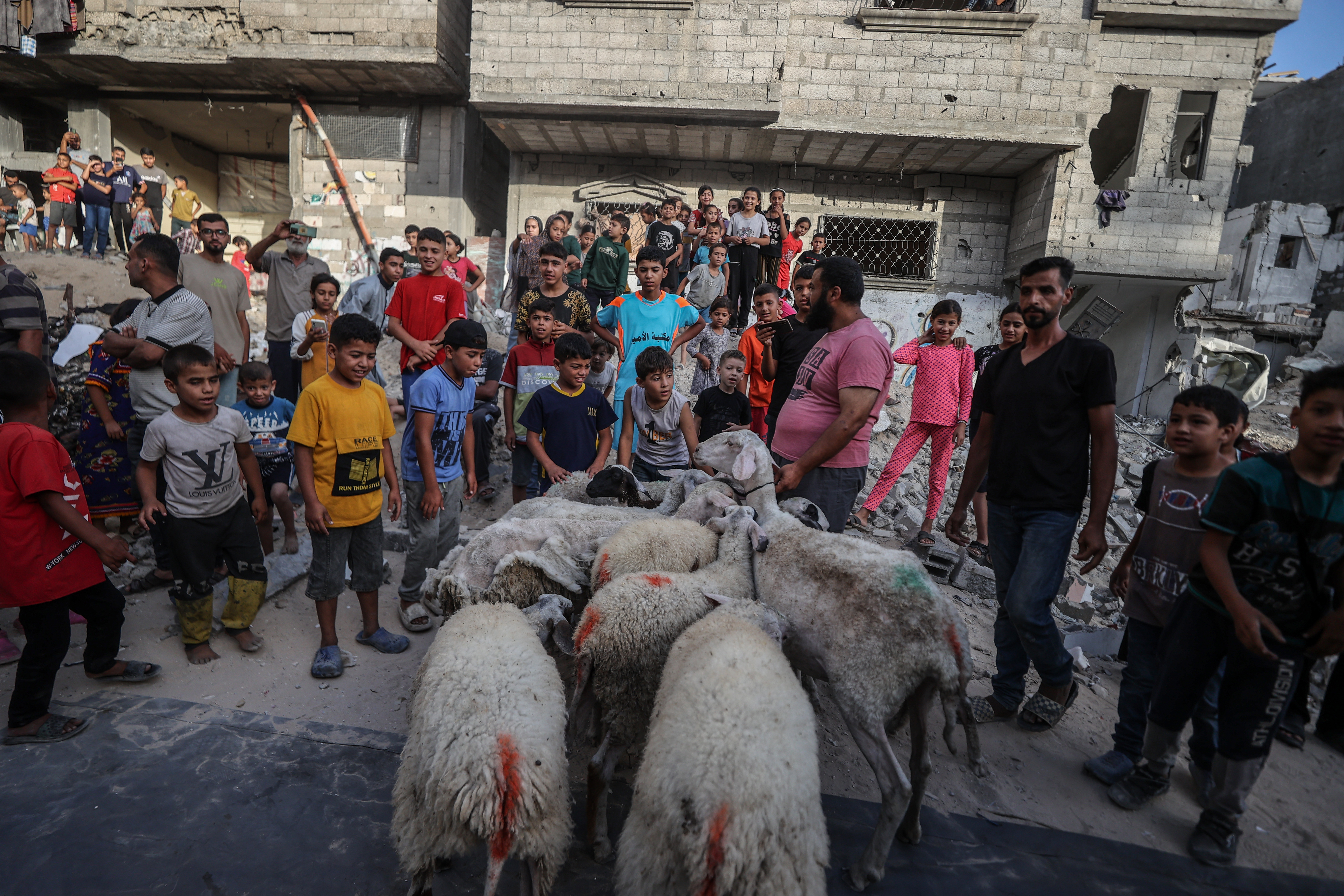 Palestinci žrtvovali kurbane na ruševinama svojih domova u Gazi
