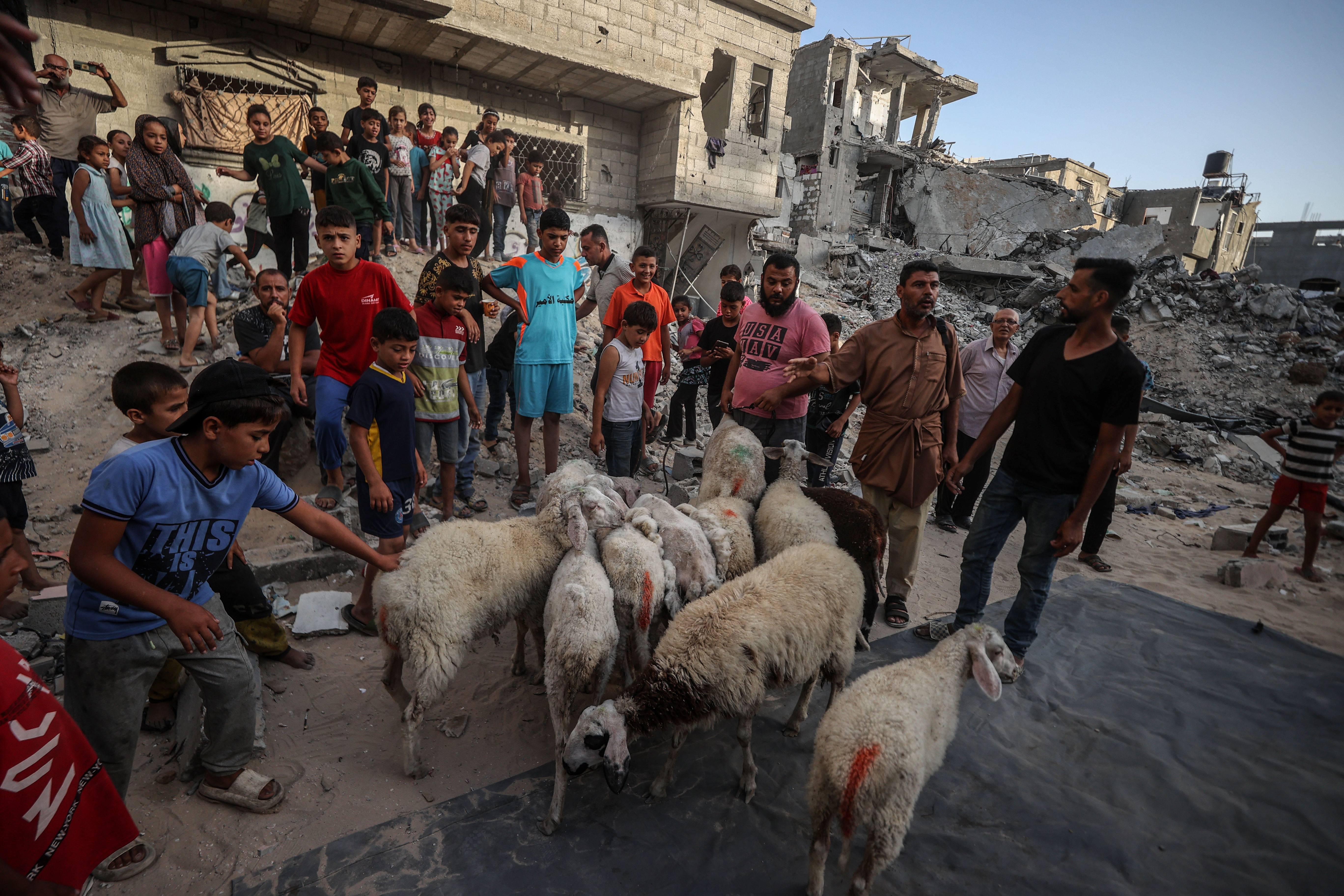 Palestinci žrtvovali kurbane na ruševinama svojih domova u Gazi