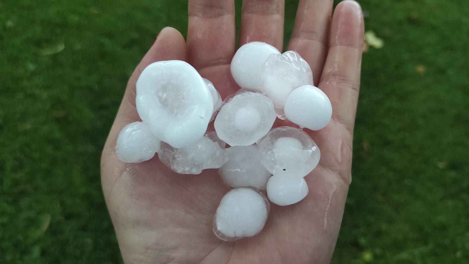 448364833_460956229859577_3348013901922146265_n