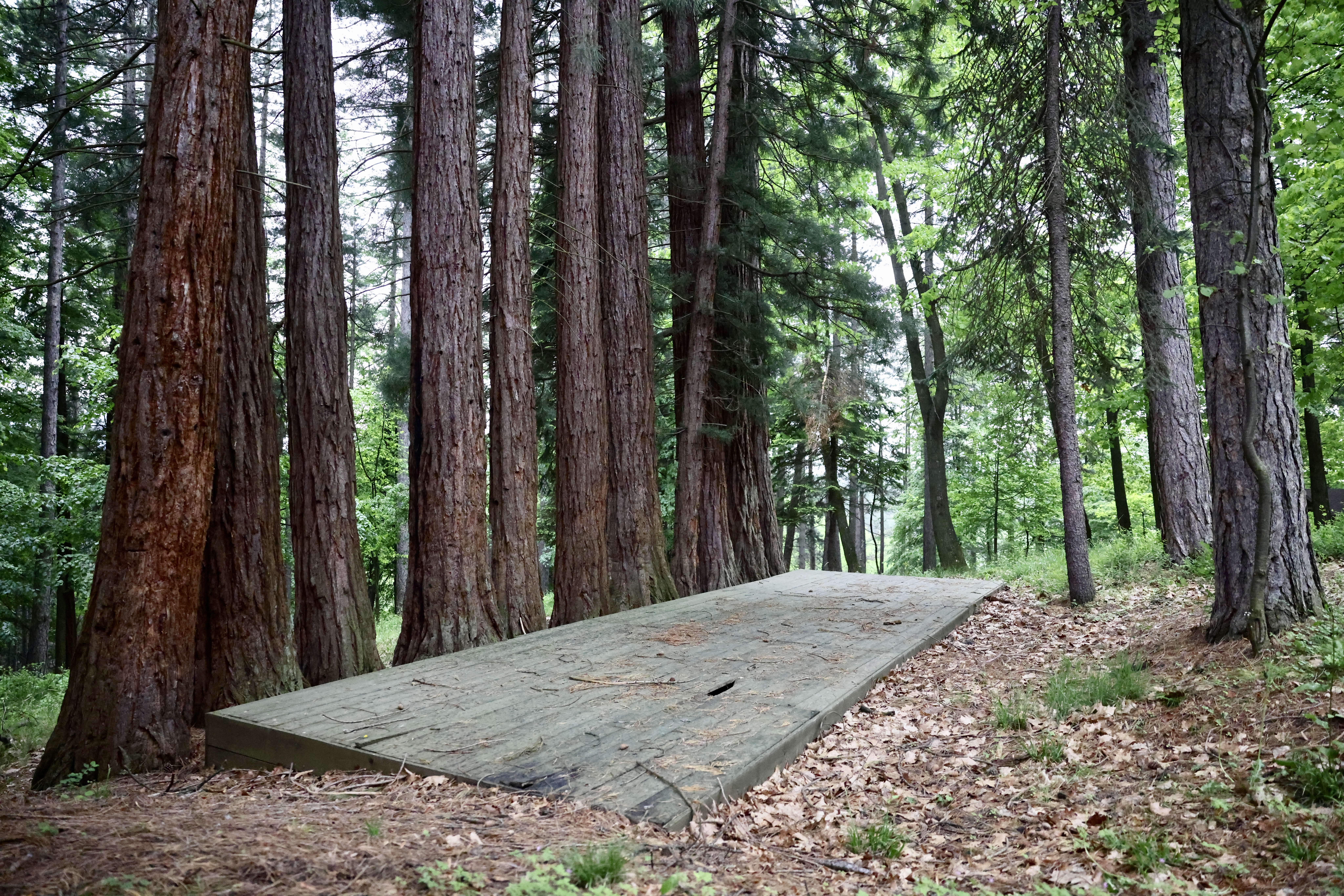 Park Šuma Prijateljstva