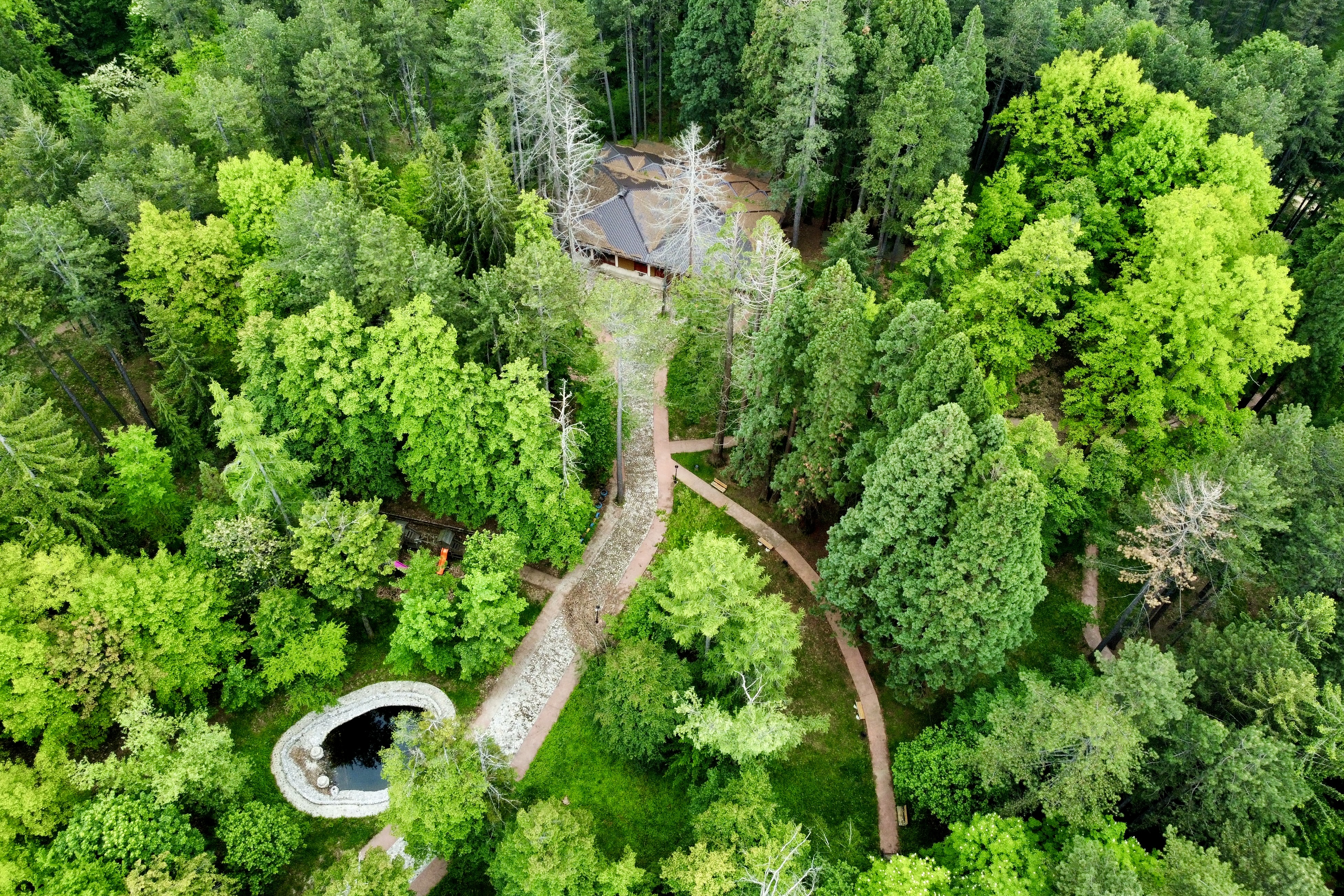 Park Šuma Prijateljstva