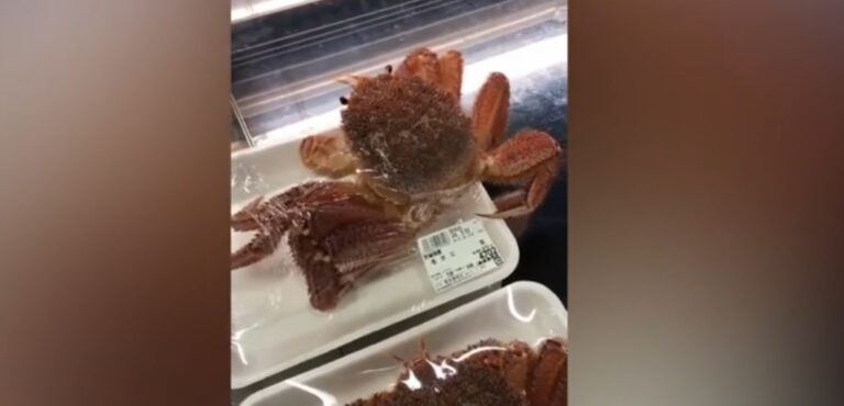 1719389477-kraba-1-768x370