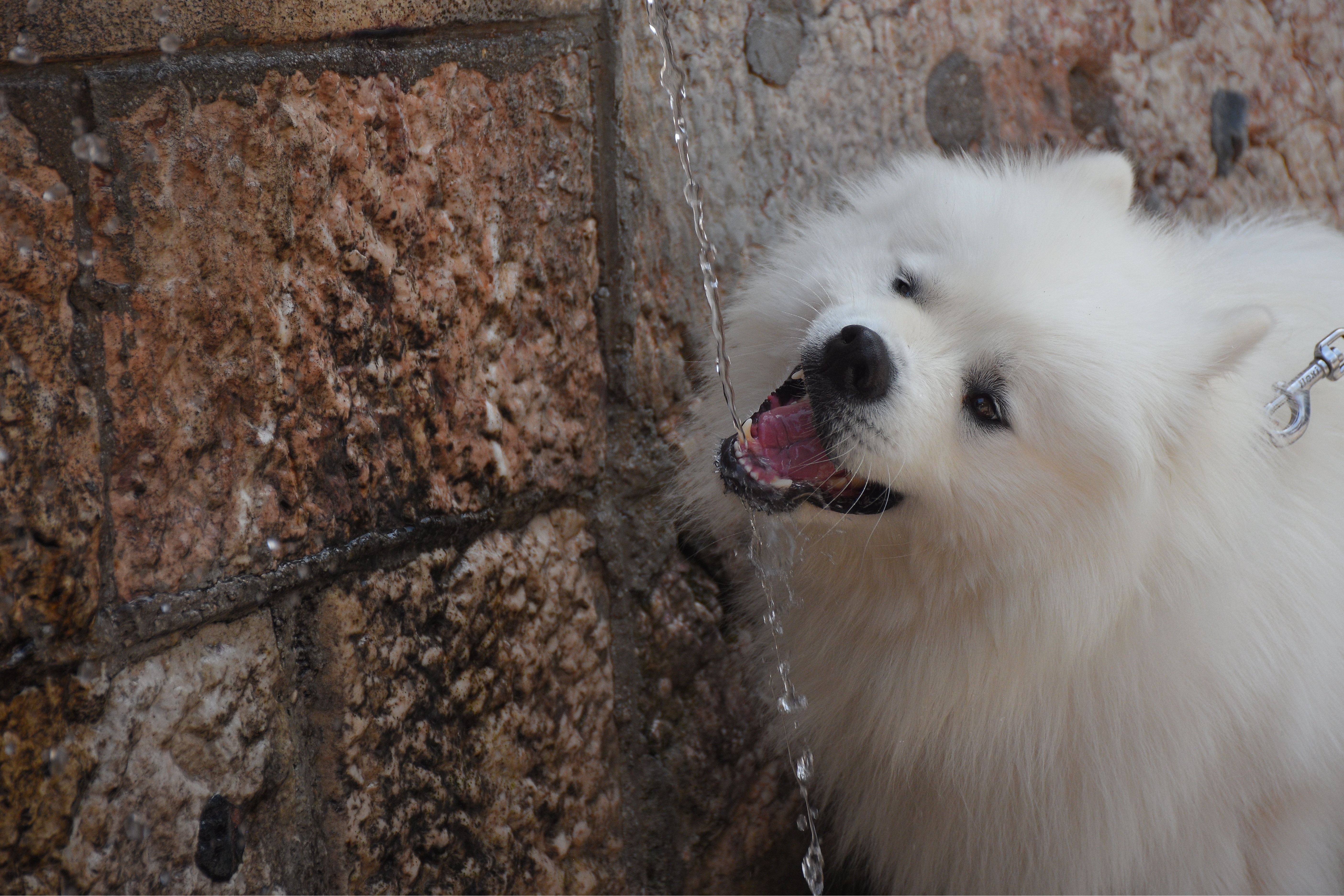 Brojni turisti na ulicama Sarajeva