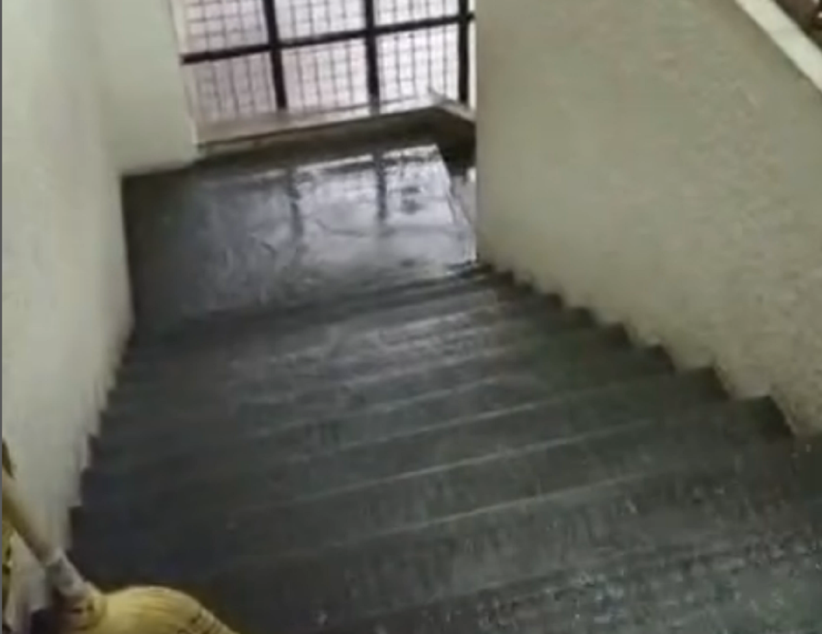 1719921202-Poplavljene-prosotirjie-Partizana