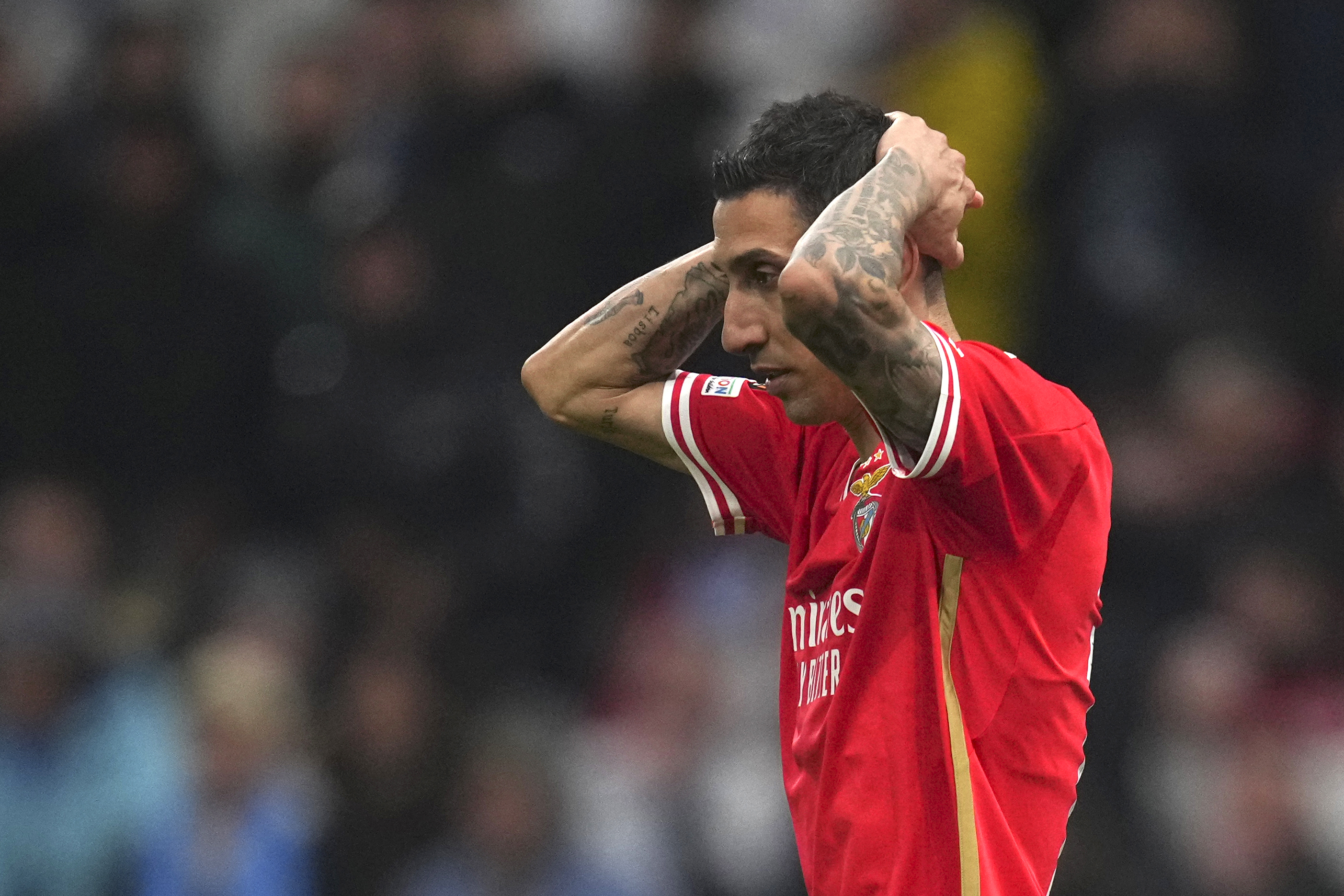 France Soccer Europa League