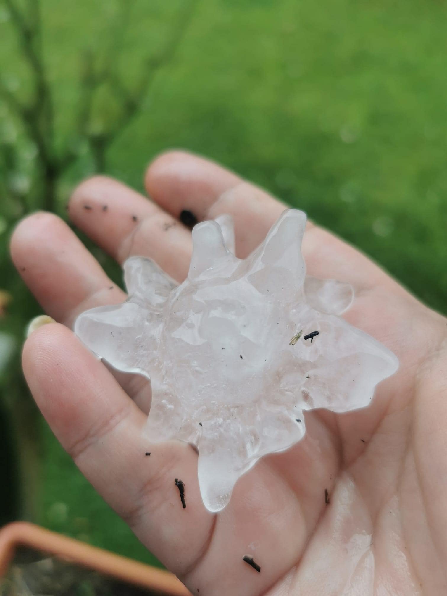 450963007_971197808349016_1109705912300235149_n